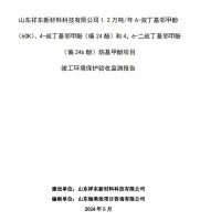 山東祥東新材料科技有限公司1.2萬噸/年6-叔丁基鄰甲(60K)、4-叔丁基鄰甲酚(偏 24 酚)和 4，6-二叔丁基鄰甲酚(偏 246 酚)烷基甲酚項目竣工環(huán)境保護(hù)驗收監(jiān)測報告